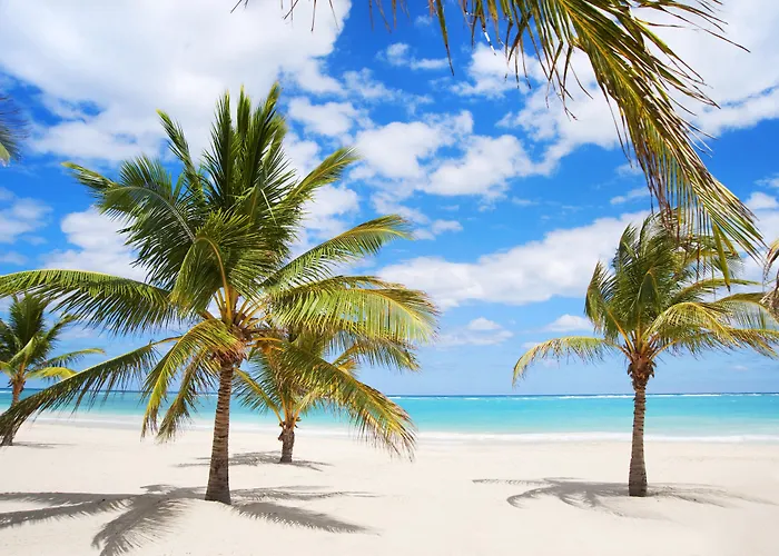 Apart hotel: Karibo Punta Cana