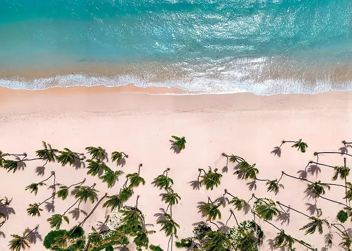 Hôtel accueillant les animaux: Hyatt Vivid Punta Cana - Adults-Only All-Inclusive Resort